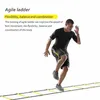 3 m Nylongurte Trainingsleitern Agility Speed Ladder Treppen Agile Treppe für Fitness Fußball Fußball Speed Ladder Ausrüstung