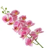 1つの人工蛾の蘭の花本当のタッチラテックス高品質の蝶の蘭の茎植物の中心的なシリコーンの花9頭の蘭