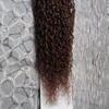 MONGOLIAN Kinky Curly Jungfrau Micro Loop Ring Hair Extensions 100g Schleife Micro Ring Machine Made Remy Hair Extension 100% Menschliches Haar