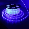 100M 2Wire круглый свет каната AC110V AC220V LED Flex Rope Light ПВХ Светодиодные полосы зажигает Flex Tube Disco Bar Pub Christmas Party