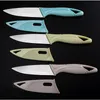 Kitchen Stainless Knife For Fruit Vegetable Sushi Ceramic Fruit Camping Knives Cooking Tools
