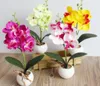 Mini künstliche Schmetterling Orchidee Bonsai DIY künstliche Schmetterling Orchidee Seidenblumenstrauß Bonsai Phalaenopsis Hochzeit Home Dekoration