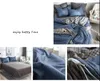 AB Side Bedding Textile Solid Bedding Conjunto de capa de edredão moderna Rei Rainha Full Twin Bed Linen Bedra