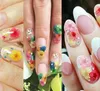 Nail Art Torkade blommor - 3d äkta torra blommor i hjullåda Mini Real Natural Nail Supplies Tips Manicure Decor