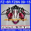 Кузов Для YAMAHA FZ6N FZ-6R 2009 2010 2011 2012 2013 2014 2015 239HM.38 FZ 6R FZ6 R FZ 6N FZ6R 09 10 11 12 13 14 15 Обтекатель горячий Глянцевый зеленый