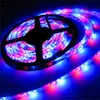 5M غير ماء 300leds RGB بقيادة قطاع ضوء DC12V 3528 60LEDS / M مرنة إضاءة سلسلة الشريط الشريط مصابيح مصابيح الديكور المنزلي