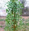 Artificielle Lierre Feuilles Vertes Vigne Plantes Artificielles Maison De Mariage Décoration Plante Verte Lierre En Plastique Guirlande Vigne fleurs mur