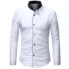 Men's Dress Shirts 2021 Fashion Casual Men Shirt Long Sleeve Mandarin Collar Slim Fit Korean Business Mens Clothes266N