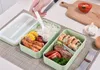 Double Layer Lunch Box Portátil trigo material Straw Lunch Box Eco-Friendly Food Container de armazenamento Student Bento Box