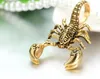 Collier pendentif Animal Scorpion pour hommes et femmes, Antique, or, argent, Punk 3D, chaîne en corde, bijoux Hip Hop Cool