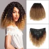 Klip Cliply Hair Extension Clip in Afro Kinky Kręcone Włosy 3 Tone Ombre Włosy 1b / 4/27 120g / PC Cena fabryczna Hurtownie