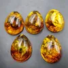 Toptan Doğal Buz Böcek Amber kolye Kelebek Su Damlası kolye Amber Wax