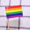 Lesbische Gay Pride LGBT Kleurrijke Vlaggen Tandenstokers Regenboog Vlag Tandenstoker 100 Stks / Set Eco Vriendelijk Hout Banner Fruit Prod Sticks BH2019 TQQ