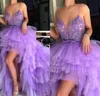 Most Popular High Low Prom Dresses Sexy Spaghetti Tiered Tulle Evening Gowns Homecoming Dresses Layers Sweep Train Cocktail Party 223x