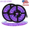 Светодиодные светильники Ультрафиолета Ультрафиолета Ультрафиолетовые 300LED Purple DC12V LED LED 5M / ROLL 395-405NM SMD2835 для внутреннего / этапа / дома