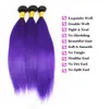 Pacotes cabelo liso com fecho Ombre Cor Brasileira Virgin Humano Weave do cabelo com 4x4 cabelo Encerramento Cor 1B / 10-18inch roxo