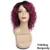 Kisshair deep wave human hair wig Natural color Honey blonde Medium brown Burgundy machine made wigs 10 inch Brazilian Indian human hair