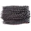 Beautysistirter Hair Brazilian Kinky Curly Virgin Hair300Gロット1人のドナーからカットされた未加工の人間の髪の延長バンドル