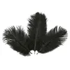 10-12 inch Ostrich Feather Plume White Pink Burgundy Wedding Party Table Centerpieces Decoration Celebrity Wall Decor