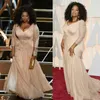 2020 Moda Oprah Winfrey noche de baile vestidos de talla V cuello de manga larga acanalada gasa de la alfombra roja de la celebridad