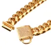 14 mm urok Białe Rhinestone Lock Cut Curb Cuban Link 316L Złoty stal nierdzewna Złoty łańcuch psa Pet Cllar Naszyjnik 1234qu9585443