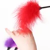 1PC Flirting Feather Black Feather Flirting Whip Sex Toys Flirt Soft Flogger for Couple Adult Game Sex Products C18112701271b3129569