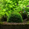 Aquarium Mineral Stone Suspended Float Moss Ball Fish Tank Aquascape Crystal Red Räka Live Plant Cultivation Holder House YQ01087