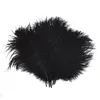 100 Piece, 15-20cm (6-8 inch) Real Natural Ostrich Feather Home Decor DIY Craft Ostrich Feathers Party Wedding Decorations Feather