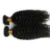 cabello trenzado humano a granel 2 piezas cabello trenzado brasileño a granel sin trama 200G cabello rizado rizado brasileño a granel