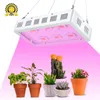 Светодиодный свет для растений, полный спектр растений, с регулируемой веревкой, для комнатных растений и цветов - 900 Вт
