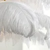 豪華なダチョウの羽毛ランプモダン銅床ライトリビングルームホテルフロアランプ排気性のないランプボディAC110-220V