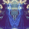 Royal Blue See przez Prom Dresses Sheer Długie Rękawy 3D Rose Flower Sweep Pociąg Suknie Wieczorne Sexy Mermaid 2k19 Cocktail Party Dress