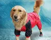 Grand chien imperméable imperméable tissu imperméable de beaux vêtements avec Cap Labrador Samoye Golden Golden Retriever Grand Dog Raincoat Chubasquero Perro