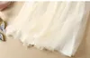 vestidos de noiva boho Hochzeitskleid Langarmes eine Linie Beige Tüll Prinzessin Strand Braut Kleid Zwei Stücke Hochzeitskleid 2024 Neu