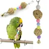Rainbow Papegoots Toys Parakeet Climb Chew Toy Bird Swing Drill Bell Swing Cage Budgie Hängande stege Pet Supplies 316A