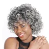 ZM Newstyle 12 "Short Afro Wigs Sintéticos Misturados Ombre Cinza Cinza Peruca Curly Para Preto / Branco Mulheres Fibra Americana de Alta Temperatura