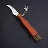 Top Quality Vegetable fruit picking knife Outdoor Camping Hunting Fishing Folding knife 440C Satin Blade With Mushroom Sweep Brush