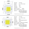 30 V Integrierte LED-Matrix 10 W 20 W 30 W 50 W 70 W 100 W Hochleistungs-COB-LED-Lampe Chip Diode Array Strahler Downlight-Quelle