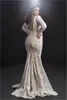 2020 Plus Size Mermaid Wedding Dresses V Neck Appliqued Beaded Long Sleeves Bridal Gowns Sheer Back Ruffle Sweep Train Vestidos De249z