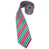 Snabb leverans 100% Silk Slipsar Mens Fashion Red White Green Striped Tie Hanky ​​Manschettknappar Set för Mens Formell Bröllop Jul N-3317