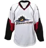 Anpassade män Ungdomskvinnor Vintage Skräddarsy Ahl Cleveland Lake Erie Monsters Hockey Jersey Storlek S-5XL eller Anpassat något namn eller nummer