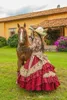 Tradizionale rosso messicano quinceanera abiti con scollo a V con collo ricamato in pizzo manica lunga Prom Cenerentola principessa Cowgirl Dolce 16 abito da compleanno