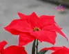 5 Çatallar 50cm Yüksek Noel Yapay Simülasyon İpek Atatürk çiçeği Kırmızı İpek Dekoratif Noel Çiçekler Ev Noel Partisi Noel Malzemeleri