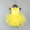 INS Tutu Robe Bébé Fille Robes De Danse Filles Ballet Jupes Couleur Unie Enfants Robe En Dentelle Bébé Performance Vêtements 11 Styles En Gros DHW3234