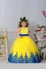 Boutique Christmas Flower girl dress Maxi dresses with Butterfly for Birthday party Princess Costume Performance Pink Yellow