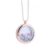 Hot new Diy accessoires boîte de phase en alliage rond pendentif de soufflage de verre peut ouvrir pendentif collier dames bijoux WCW296