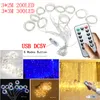 USB LED String Lights DC5V 3 * 3m 3 * 2m LED Fenêtre Rideau Lumières Télécommande Gradation Fil De Cuivre Lumière De Noël Décorations De Fête De Mariage