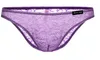 Bikini sexy mutandine di pizzo da uomo Uomo trasparente Tasca per lingerie Biancheria intima trasparente Garza sexy perizoma da uomo in seta maschile perizoma corto MIX COLOR J190105