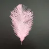 15-20cm / 6-8 "Natural Goose Feathers Plume Wedding Centerpieces Heminredning Kläder Tillbehör Party DecorAction Supply Pack 100