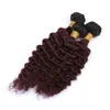 Wine Red Ombre tiefe Welle 3Bundles Jungfrau-brasilianisches Menschenhaar # 1B / 99J Burgund Ombre Tief Curly Wellen-Menschenhaar-Webart Tressen Mischlänge